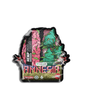 PICADURA DE CAÑAMO CON CBD – AMNESIA | 10G PREMIUM