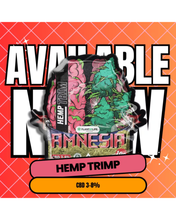 PICADURA DE CAÑAMO CON CBD – AMNESIA | 10G PREMIUM