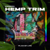 PICADURA DE CAÑAMO CON CBD – AMNESIA | 10G PREMIUM