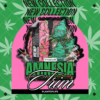 PICADURA DE CAÑAMO CON CBD – AMNESIA | 10G PREMIUM