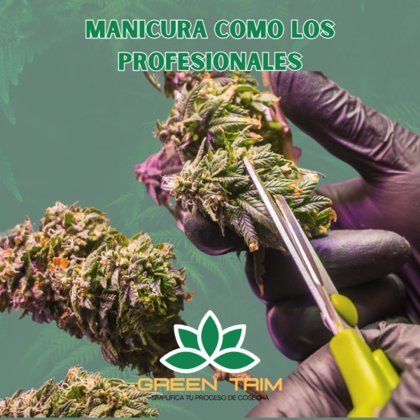 Con Green Trim tu cosecha bien hecha- Bandeja de manicurado con filtro y accesorios