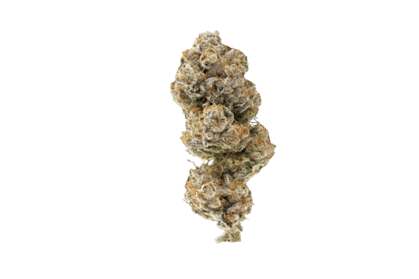 CItrus Swap Legend citrus Swap MB