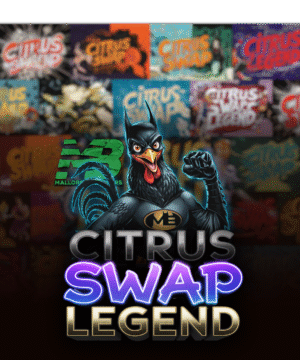 mallorca breeders citrus Swap