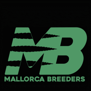 10OH+ Hash con Gran aroma y Potencia Juntos