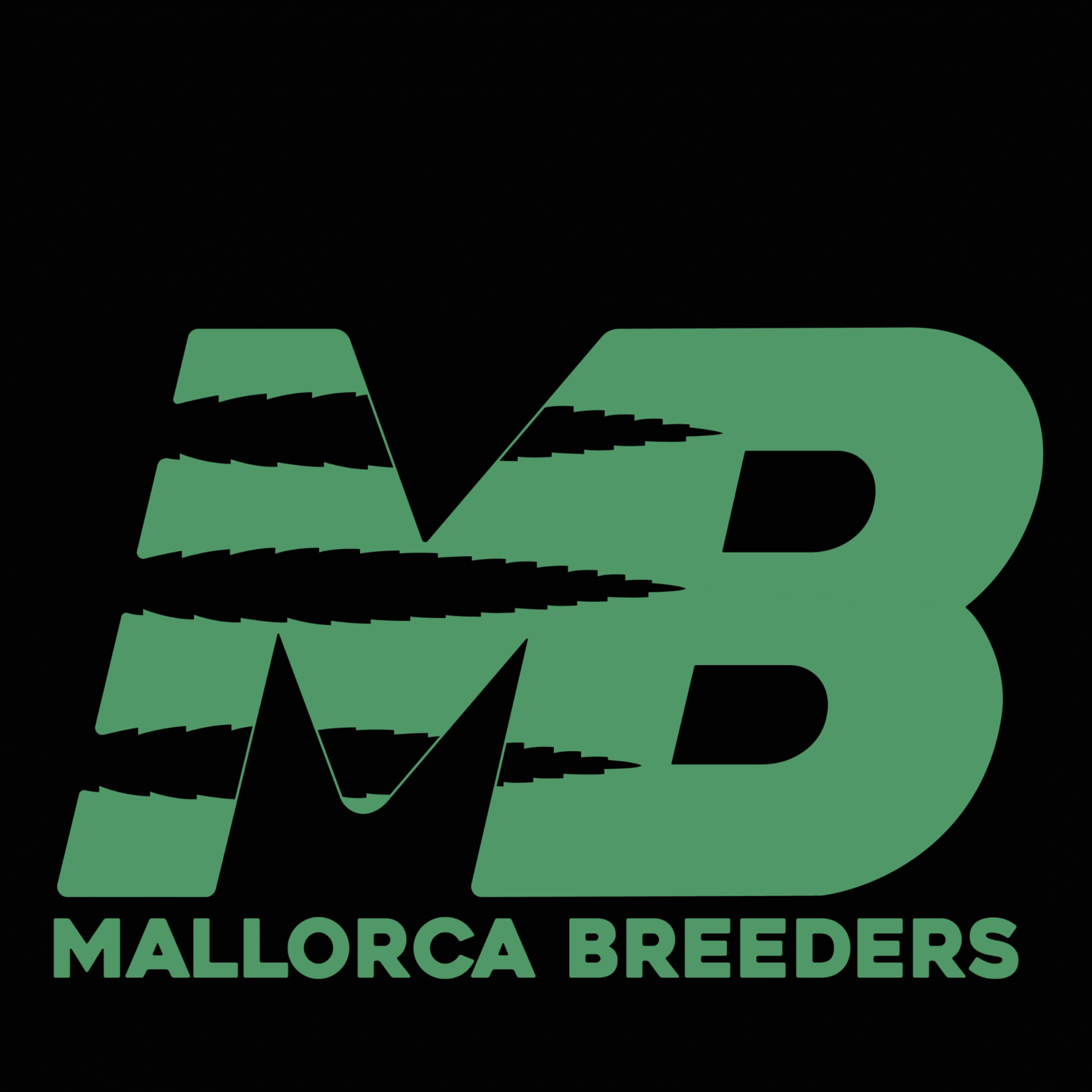 Semilla Feminizada Dr.Rock Mallorca Breeders 3+1 Uds