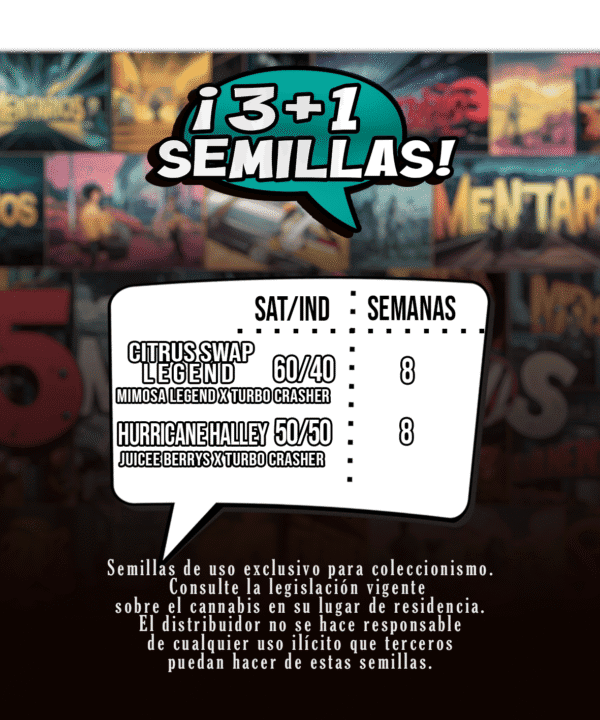 Trasera Citrus Swap Legend mallorca breeders 3+1