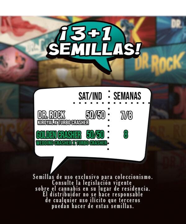 Downloadable Template Feminizadas mallorca breeders