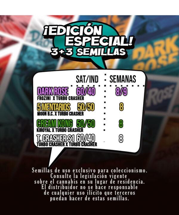 mallorca breeders dark