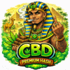 cbd premium hash cbd premium