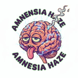 cbd amnesia cbd amnesia