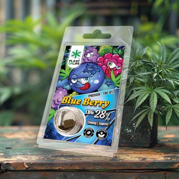 pollen-cbg-28-blueberry-1g (2) polen sin thc