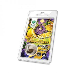 pollen-cbg-28-lemon-haze-1g Polen sin THC